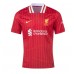 Maillot de foot Liverpool Alexis Mac Allister #10 Domicile vêtements 2024-25 Manches Courtes